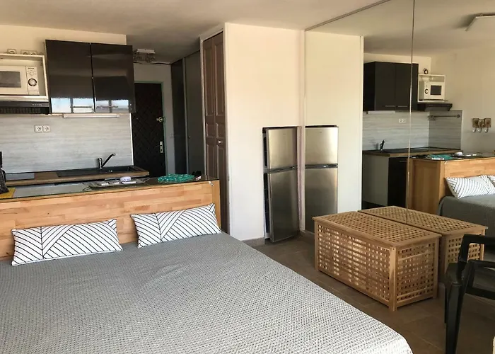 Naturiste Port Soleil Avec Piscine Agde